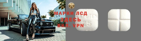 эйфоретик Ельня