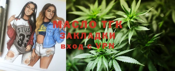 эйфоретик Ельня