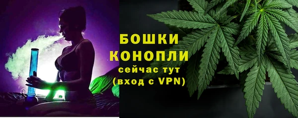 эйфоретик Ельня