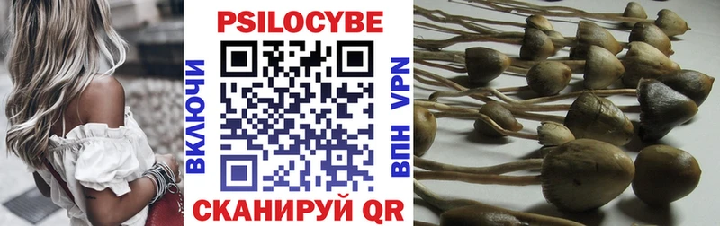 Галлюциногенные грибы Cubensis  Купить закладки  Липки 